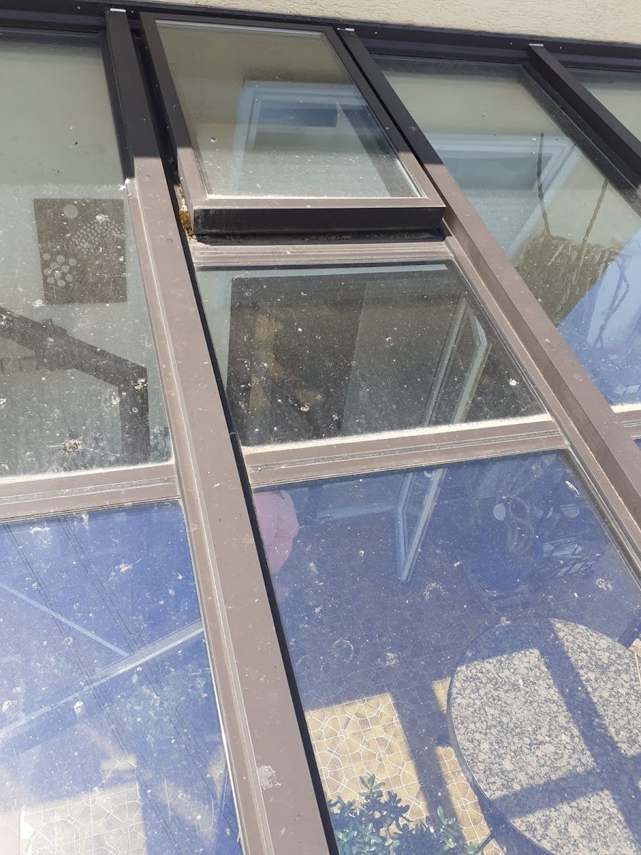 Verschmutztes Glasdach mit Laub und Flecken vor der Reinigung